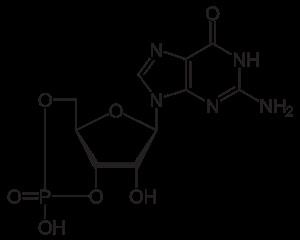 How Much Viagra Cost in Australia