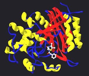 Nitric Oxide Supplements Taken With Viagra